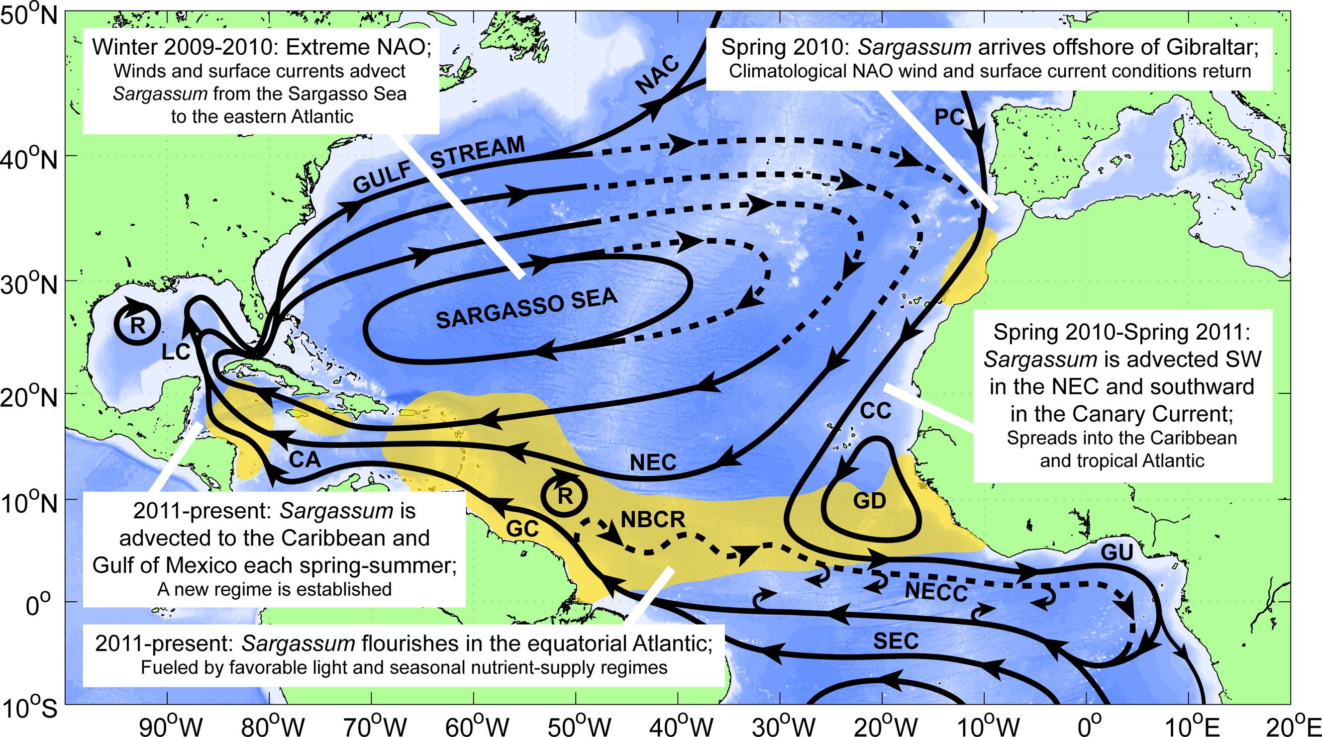 This map shows the pathway by which Sargassum exits the Sargasso Sea and makes it's way to the tropical Atlantic and Caribbean Sea. Blue economy
