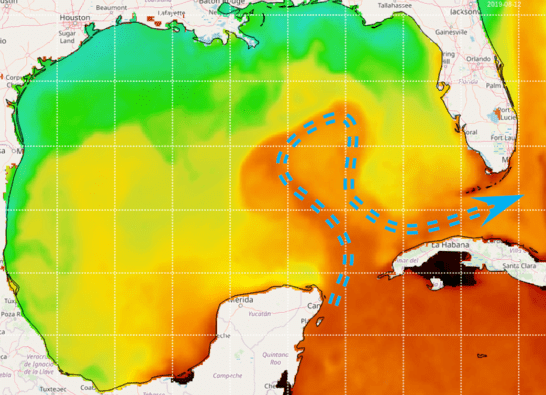 Loop Current visible on Sea Surface Temperature observed by satellite (source: NOAA/AOML OceanViewer).