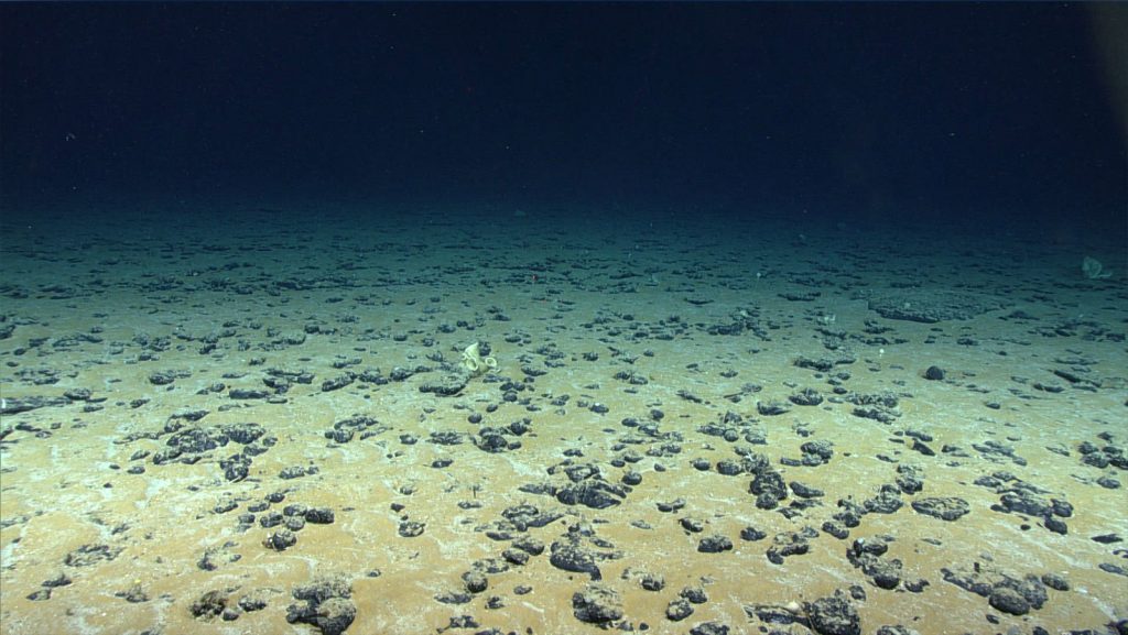 Bottom of the sea floor