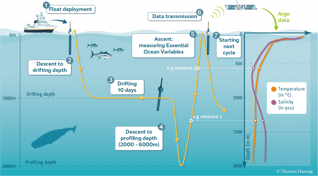 Graphic showing a typical mission for an Argo float. 