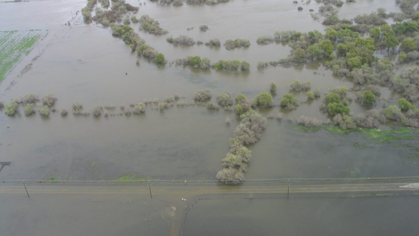 Aerial view of extreme flooding. Water rises to touch the tops of green trees.
