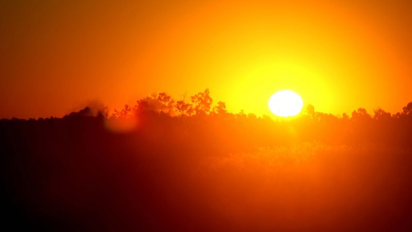 Un sol amarillo brillante se posa sobre los árboles en un cielo anaranjado.