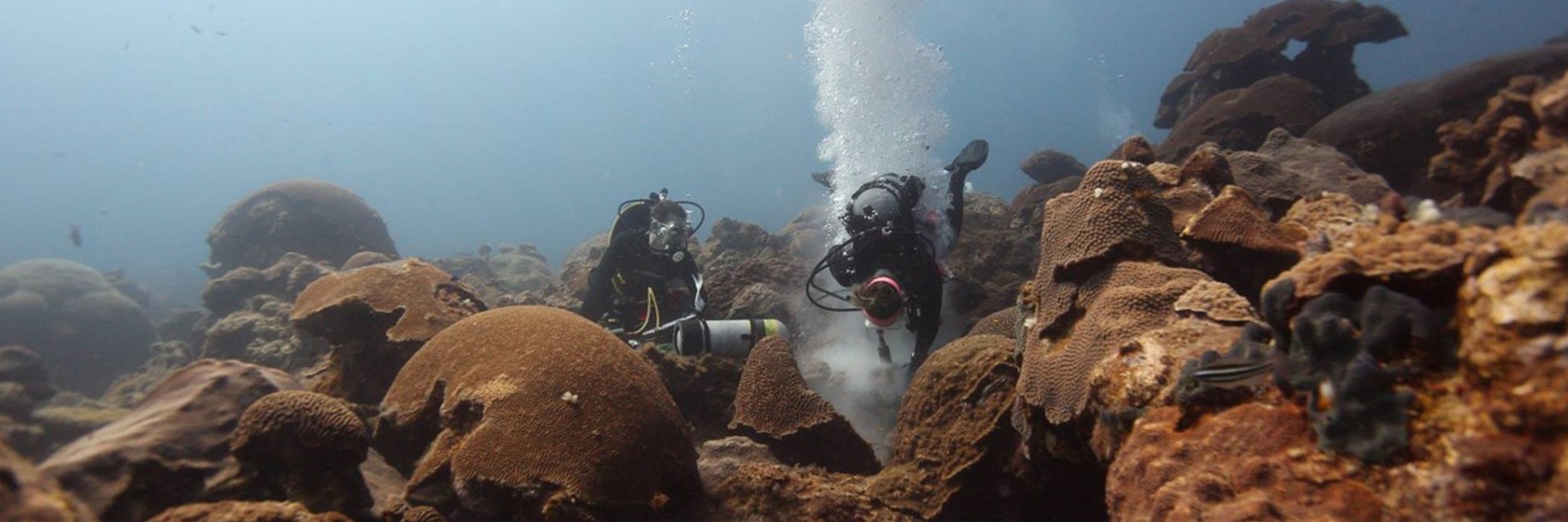 Divers from the ocean chemistry & ecosystems division on the flower garden banks
