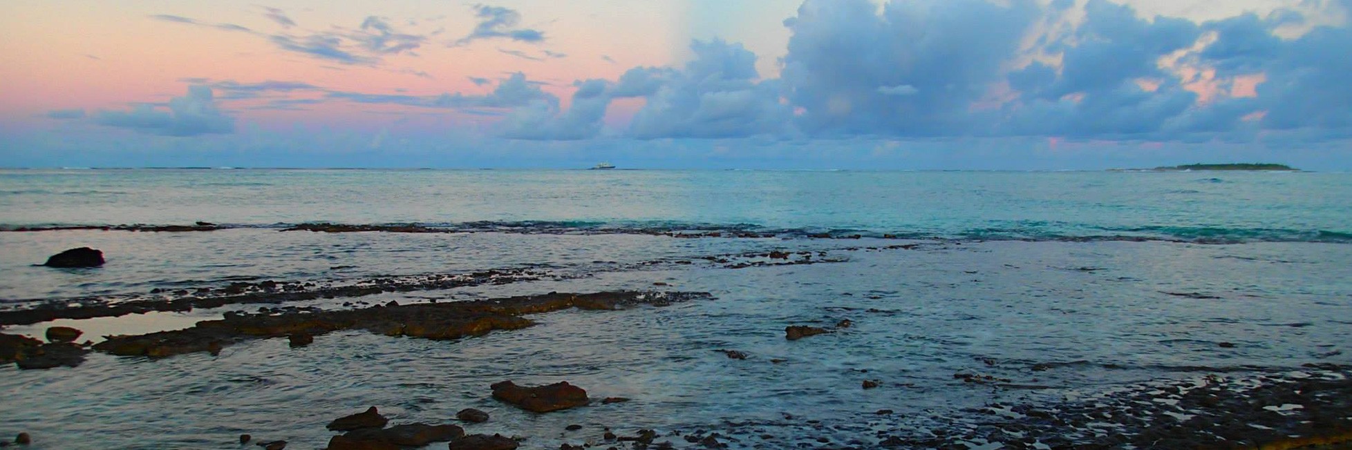 Image of mudflats and the ocean beyond, used as a representative image for the ocean chemistry & ecosystems division