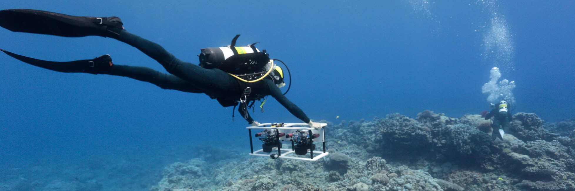 A diver from AOML's ocean chemistry & ecosystems division places instrumentation on the bottom