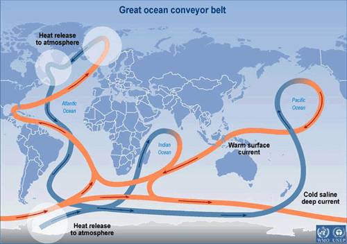 A schematic of the thermohaline circulation.
