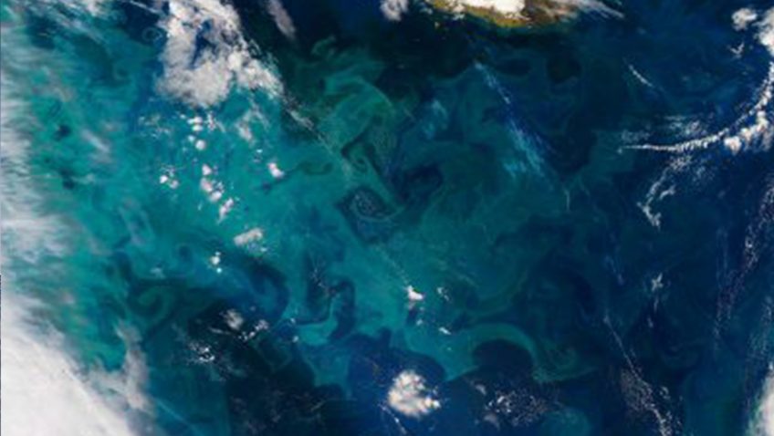 A phytoplankton bloom in the Atlantic Ocean. May 2016