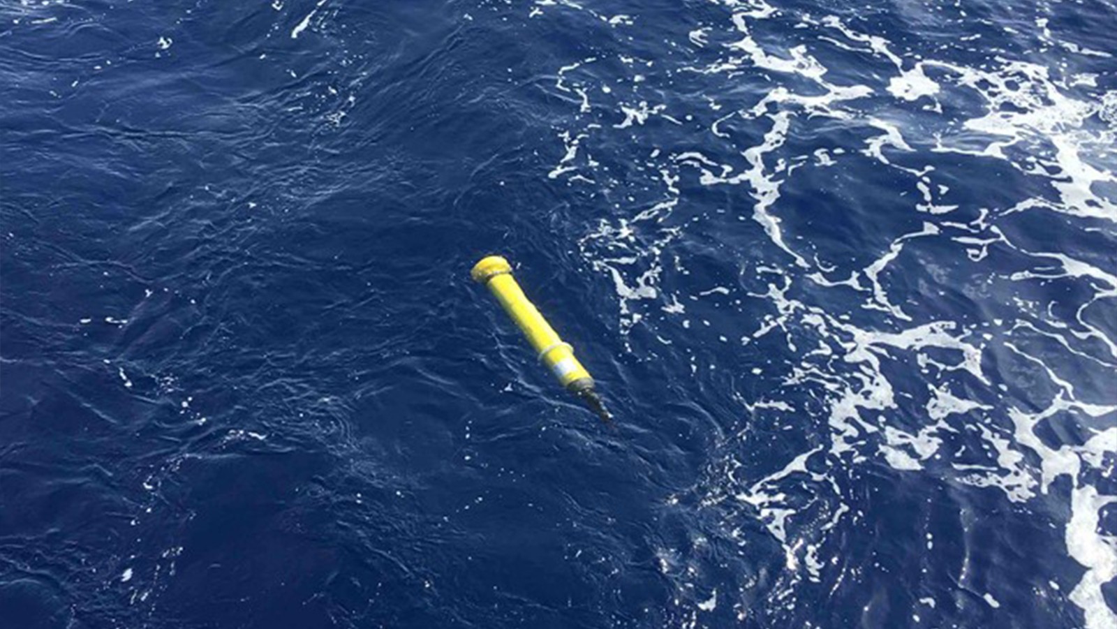 An yellow Argo float floating in the ocean.