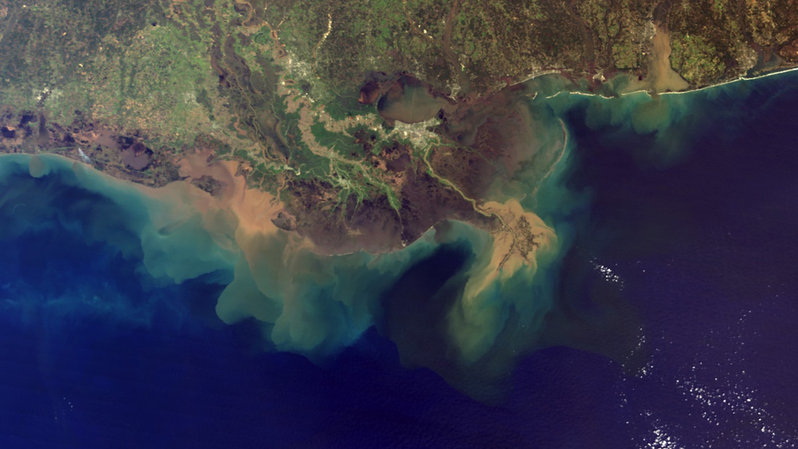 A satellite image showing the murky brown water of the Mississippi River plume mixing with the dark blue water of the Gulf two days after a rainstorm. Image Credit: NASA’s MODIS