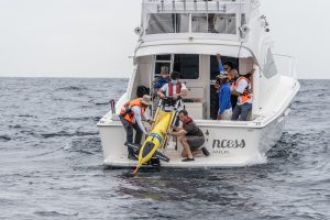 A yellow underwater glider is deployed into the waters of the Dominican Republic in July of 2021.