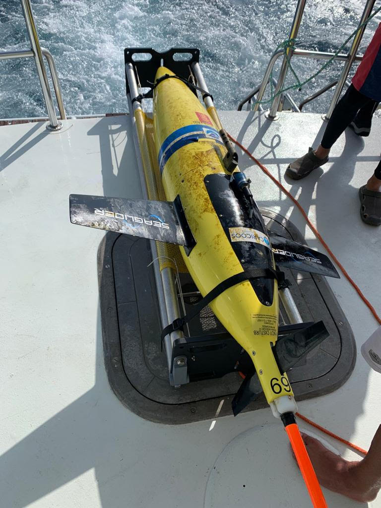 Glider recovered off the coast of Northern PR. October 2021. 