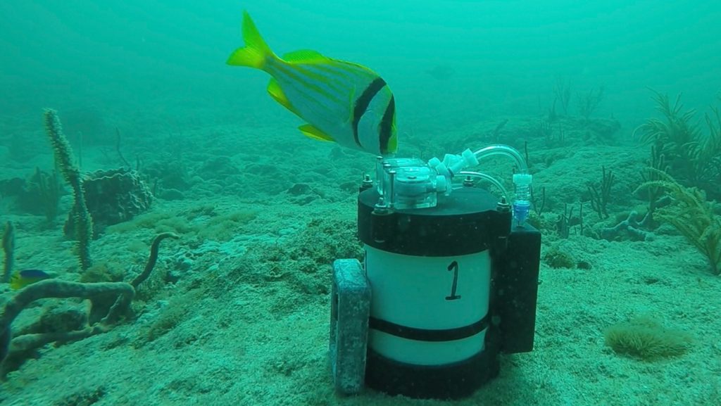 Scientists at NOAA’s Atlantic Oceanographic and Meteorological Laboratory (AOML),the Cooperative Institute for Marine and Atmospheric Studies (CIMAS) at the University of Miami Rosenstiel School of Marine and Atmospheric Science, and the Northern Gulf Institute at Mississippi State University have engineered a new instrument that will provide valuable information about the biodiversity of aquatic ecosystems. A recently published paper in Hardware X describes the design and creation of a low-cost, open-source sub-surface automated environmental DNA (eDNA) sampler (SASe), for sampling eDNA in the water column. The SASe represents a milestone for AOML as one of the first pieces of technology to go through a rigorous transition process from the desks of scientists in the laboratory, through organizational approval channels, to the wider scientific community with full accessibility to the public.