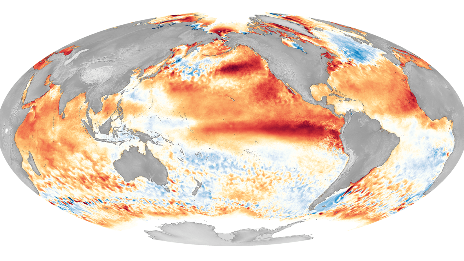 A map showing the sea surface temperatures around the globe. A strong El Nino is shown in dark red in the Pacific Ocean.