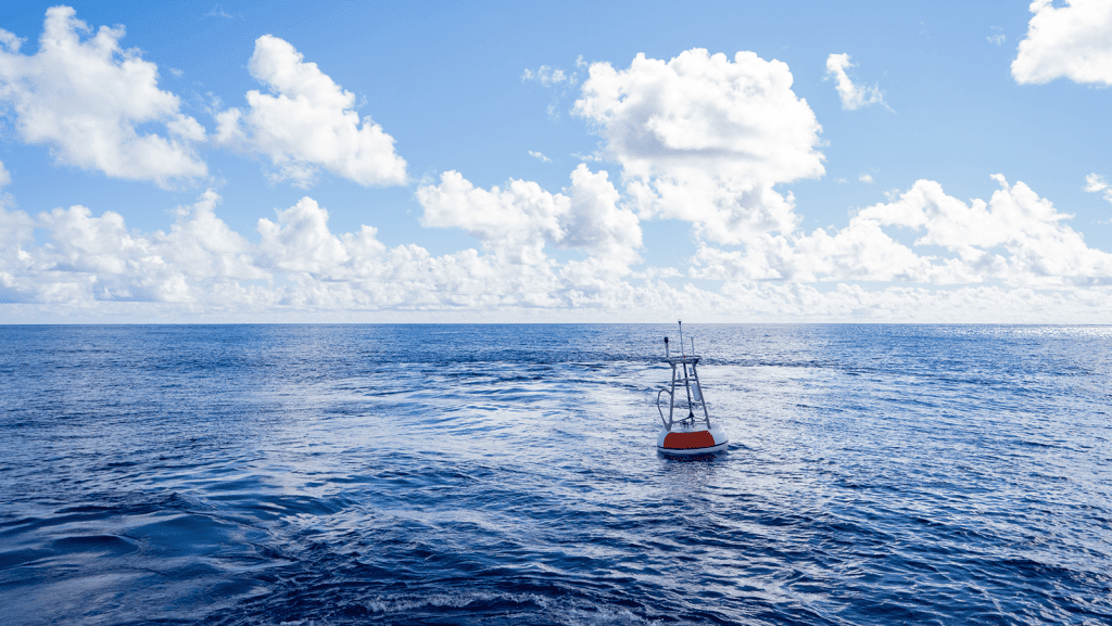 A large red and white buoy floats in the open ocean.