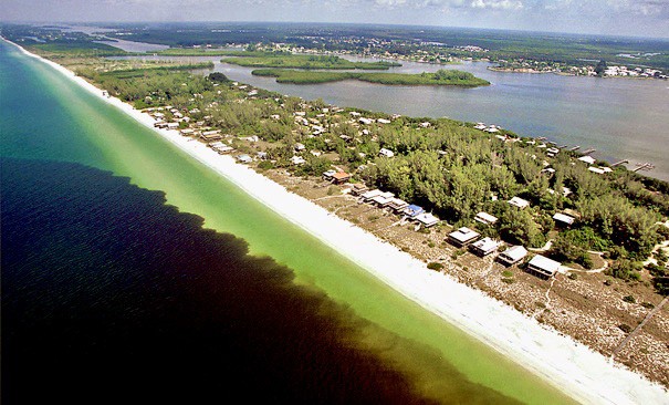 Red tide along a white Florida beach