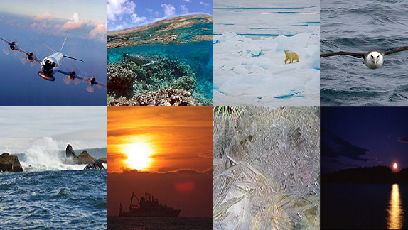 Eight images collaged together. Top row: An airplane flying in the sky, coral reefs under the water, a polar bear on snow, a bird flying above the ocean. Bottom row: Waves crashing against rocks, a sunset behind mountains, close up image of icicles, a bright moon shining in the night sky above water.