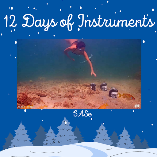 12 days of instruments. SASe