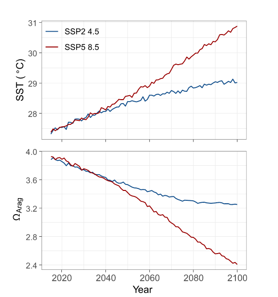 These figures depict the relationship between sea surface temperature (SST) and aragonite saturation rate, under two different emission scenarios. Saturation rate is the measure of calcium carbonate which corals need to form their skeletons. There are two lines in each figure. in both sea surface temperature rises, however in the scenario where emissions are reduced, often referred to as the “middle of the road scenario”. It is les ssteep and levels off more quickly around 29 degrees celsius. In the second figure, both lines are descending, making it more difficult for corals to form their skeleton. But again, the line for the middle of the road emissions level does not drop as steeply as the worst case scenario, and levels off around 3.25. This new reef monitoring framework ties carbonate levels with reef persistence.