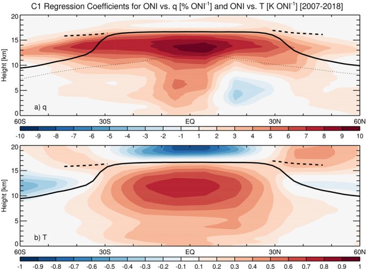 Figure caption: Latitude–height cross sections of regression coefficients between the Oceanic Niño Index (ONI) and zonal mean C1 (a) specific humidity and (b) temperature. Units are % per normalized ONI for specific humidity and K per normalized ONI for temperature. Regression coefficients are calculated with the ONI time series leading by 2 months. Tropopause heights are denoted by the solid black line and double tropopause heights are denoted by the dashed black line. The thin dotted line in (a) is approximately the level at which the moisture information content is almost exclusively from the a priori.