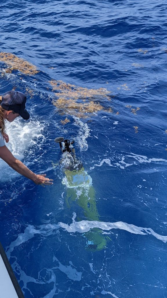 A scientist reaches to recover a scientific instrument as it rises to the oceans surface.