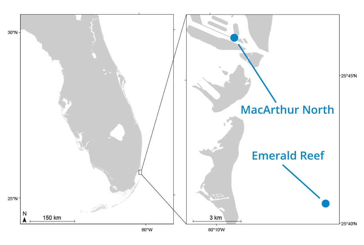 Left: Map of South Florida with a small rectangle around the South Florida Reefs being examined off of Miami. Right: Zoomed in map of Biscayne Bay/ Miami with designated points identifying the two reefs (blue): MacArthur North as an inshore reef and the offshore Emerald Reef to the south.
