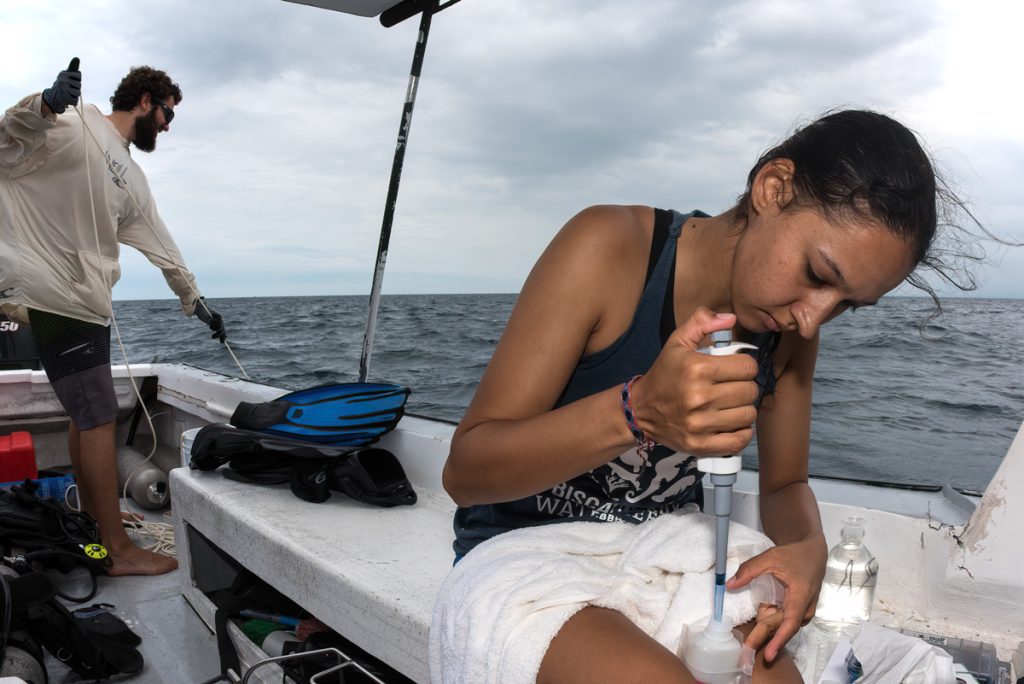 Color image of Ana Palacio-Castro preserving coral samples to study their which algal communities are present. Heat-resistant communities have lead to an exciting discovery for eastern pacific reefs