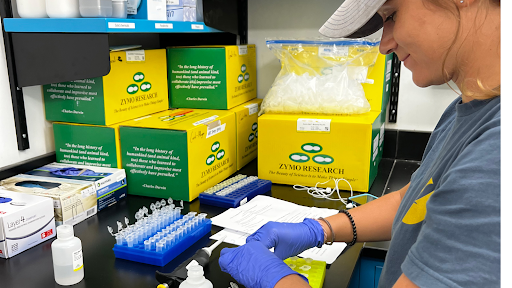 Taylor Gill prepares small test tubes in a lab setting on top of a black counter surrounded by lab equipment and yellow and green boxes. She's wearing a gray tee shirt, a hat and blue gloves. 