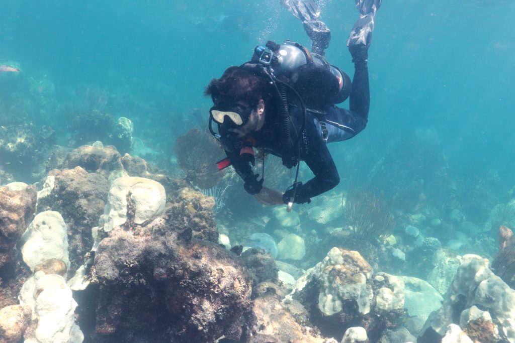 Enochs wearing a black wetsuit and scuba gear hovers over bleached coral. The background is blue and all the coral heads are white