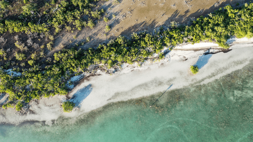 Foto aérea de la costa con árboles, playa de arena y agua del océano