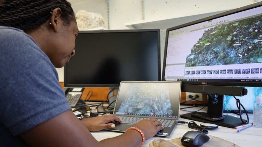 Kayelyn Simmons sits at the desk with three screens in front of her, she examines the one immediately right displaying a photomosaic on the screen with the variety of colors of the coral reef