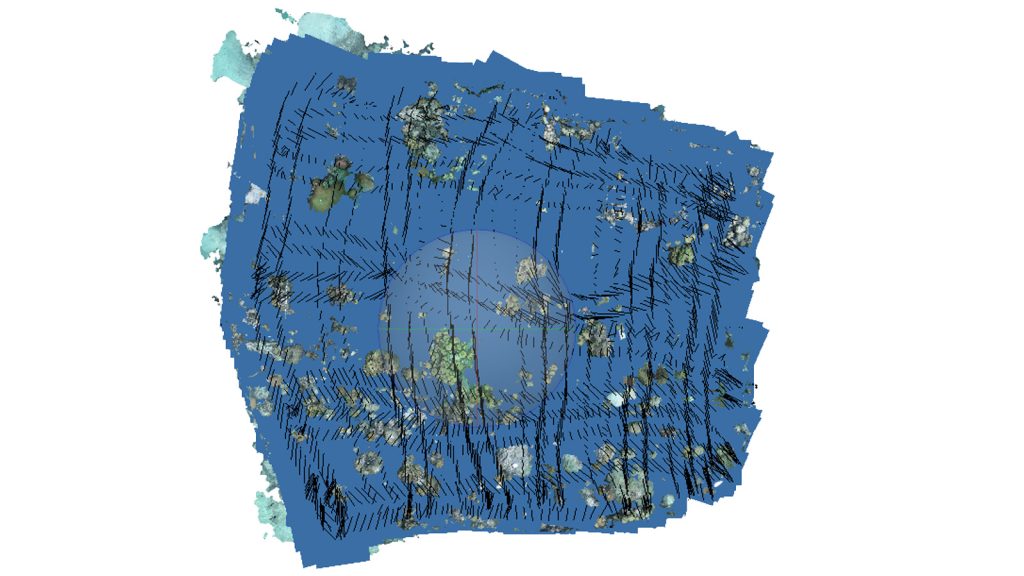 A reef landscape image with the entire blue layer and black lines showing where they swam over the designated area with the camera.
