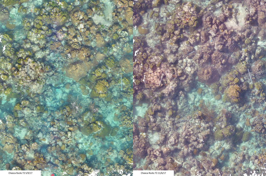 Photo Aerial of reef separated in half, the left showing the emerald green and teel beautiful colors of densely pocketed reef while the right conveys the bleached reef