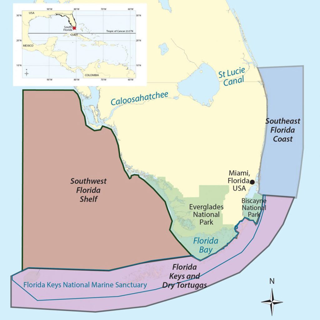 A map of South florida with the majority of the region highlighted yellow while the Everglades (green) compose the lower portion of the state, bordering the Soutwest Florida Shelf (maroon) to the left, the Florida Keys and Dry Tortugas (highlighted purple going the stretch of the islands and covering the whole Floriday Keys National Marine Sanctuary, and the Southeast Florida Coast (highlighted blue) on the right, north of Biscayne National Park adn the Everglades National Park