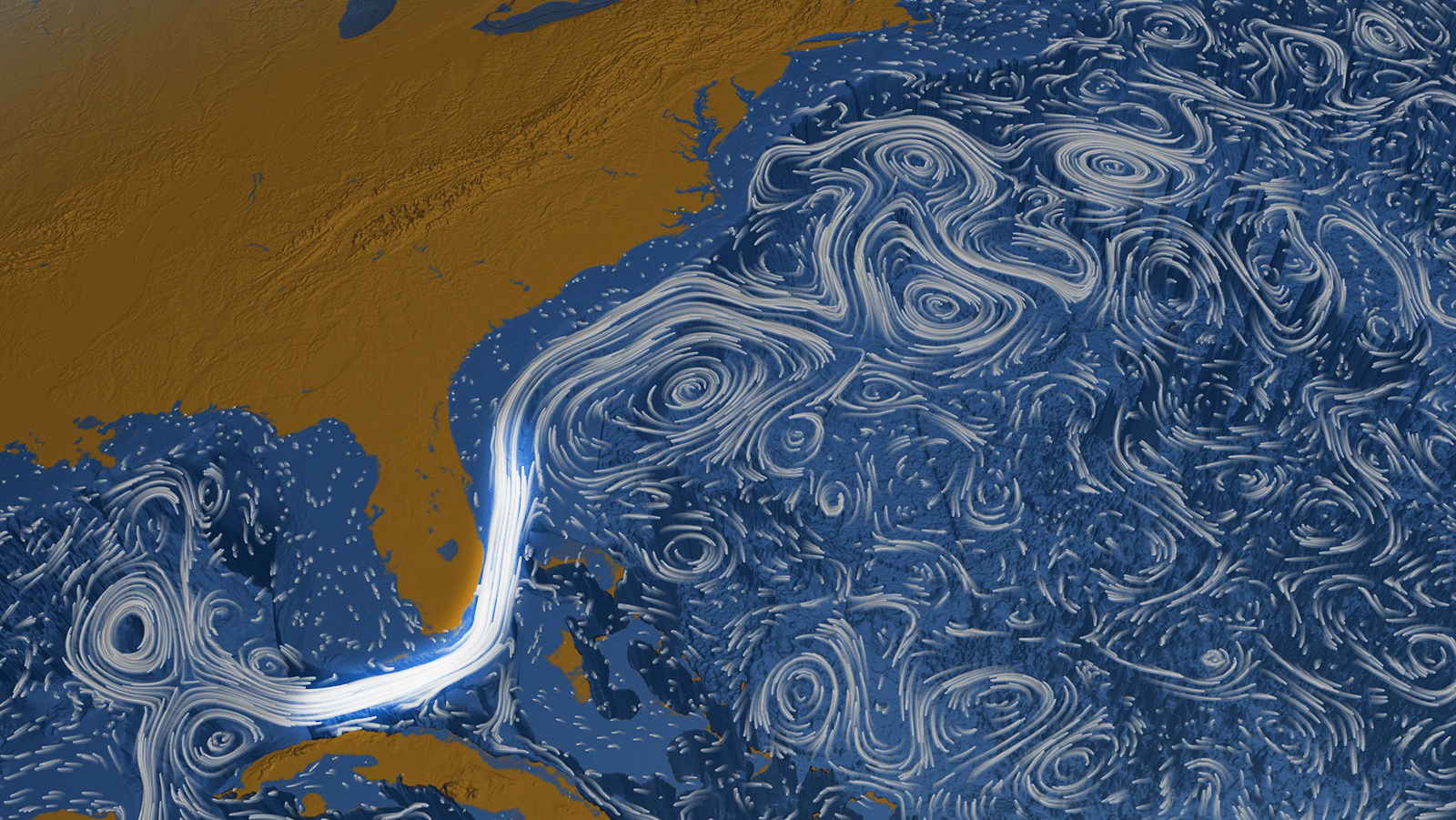 Nasa visualization of ocean currents in the Gulf of America and Atlantic Ocean, with the Florida Current highlighted. Credit: NASA Scientific Visualization Studio. Modified by: NOAA AOML